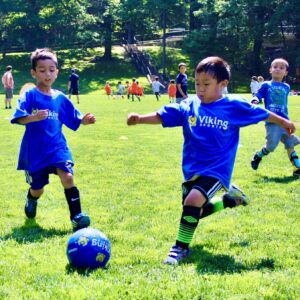 Young children playing soccer on a field, kicking the ball and having fun together.